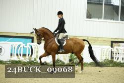 24BUCK_09068 thumbnail
