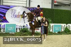 24BUCK_09075 thumbnail