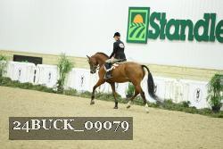 24BUCK_09079 thumbnail