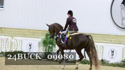 24BUCK_09080 thumbnail