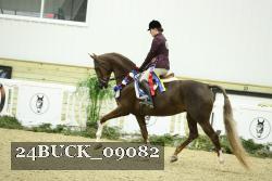 24BUCK_09082 thumbnail