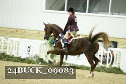 24BUCK_09083 thumbnail