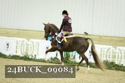24BUCK_09084 thumbnail