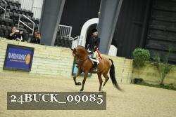 24BUCK_09085 thumbnail