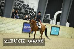 24BUCK_09086 thumbnail