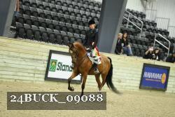 24BUCK_09088 thumbnail