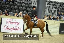 24BUCK_09090 thumbnail