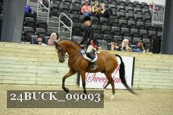 24BUCK_09093 thumbnail
