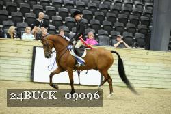24BUCK_09096 thumbnail