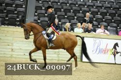 24BUCK_09097 thumbnail