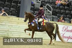 24BUCK_09102 thumbnail