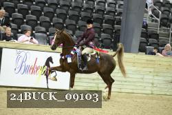 24BUCK_09103 thumbnail
