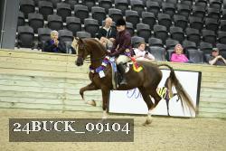24BUCK_09104 thumbnail