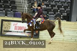 24BUCK_09105 thumbnail