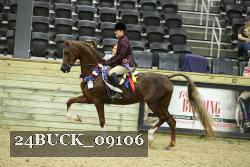 24BUCK_09106 thumbnail