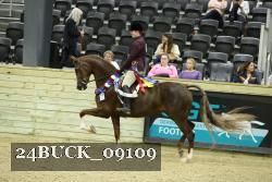24BUCK_09109 thumbnail
