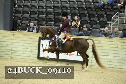 24BUCK_09110 thumbnail