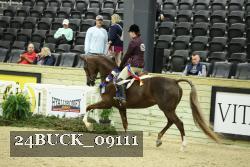 24BUCK_09111 thumbnail