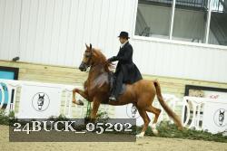 24BUCK_05202 thumbnail