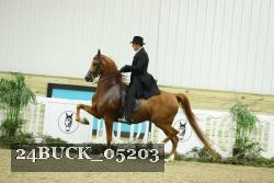 24BUCK_05203 thumbnail