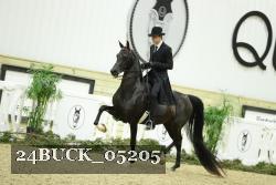 24BUCK_05205 thumbnail
