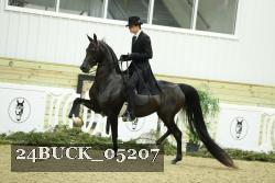 24BUCK_05207 thumbnail