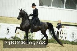 24BUCK_05208 thumbnail