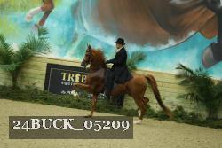 24BUCK_05209 thumbnail