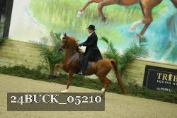 24BUCK_05210 thumbnail