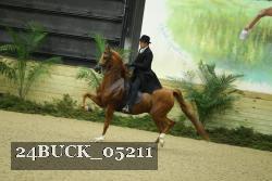 24BUCK_05211 thumbnail