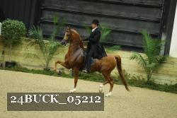 24BUCK_05212 thumbnail