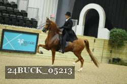 24BUCK_05213 thumbnail