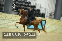 24BUCK_05214 thumbnail