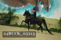 24BUCK_05215 thumbnail