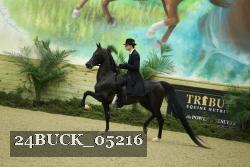 24BUCK_05216 thumbnail