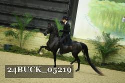 24BUCK_05219 thumbnail