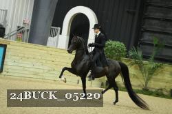 24BUCK_05220 thumbnail