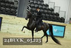 24BUCK_05223 thumbnail