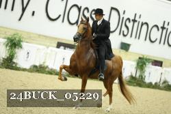 24BUCK_05229 thumbnail