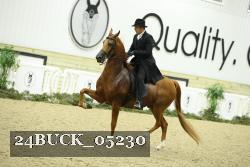 24BUCK_05230 thumbnail