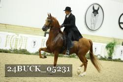 24BUCK_05231 thumbnail