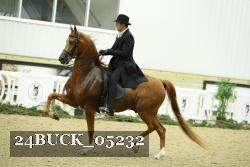 24BUCK_05232 thumbnail