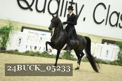 24BUCK_05233 thumbnail