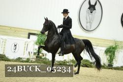 24BUCK_05234 thumbnail