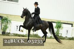 24BUCK_05235 thumbnail