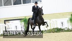 24BUCK_05236 thumbnail