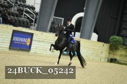 24BUCK_05242 thumbnail