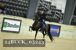 24BUCK_05243 thumbnail