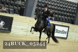24BUCK_05244 thumbnail