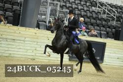 24BUCK_05245 thumbnail